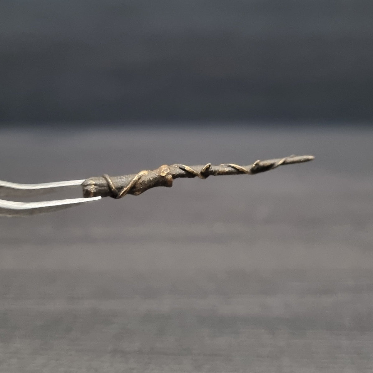 Wild Willow Wand